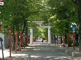 須賀神社への参道